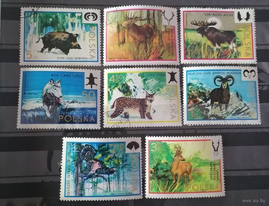 Польша 1973 охота