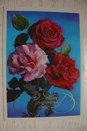 Костенко Г., С днем рождения! 1977, чистая.