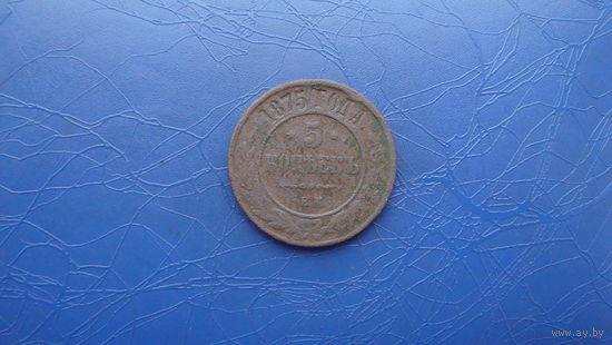 5 копеек 1875                                                                                               (3134)