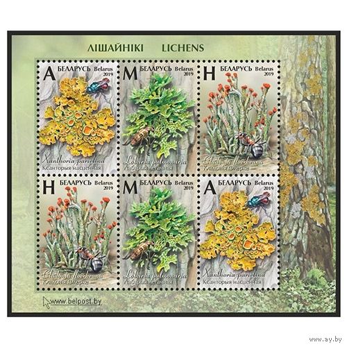 2019 БЕЛАРУСЬ  Малый лист "Лишайники" MNH