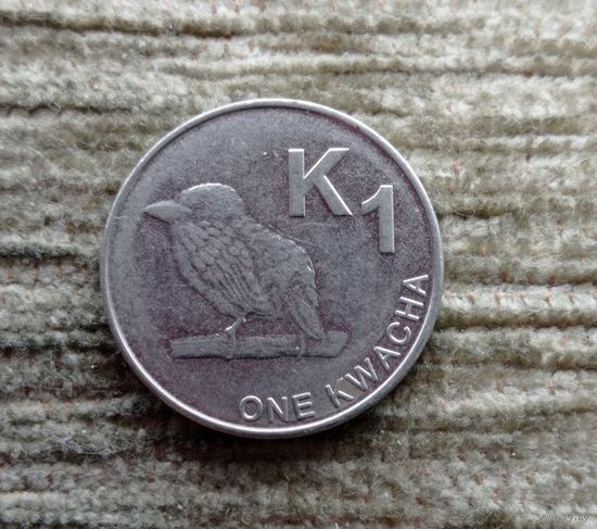 Werty71 Замбия 1 квача 2017 замбийский Бербет Птица
