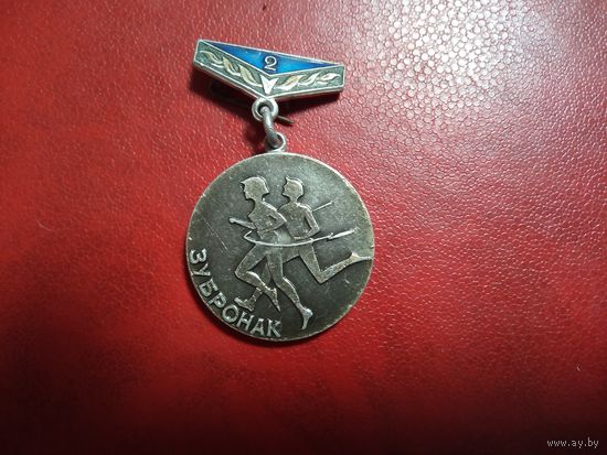 Значок. Зубрёнок 2 место.