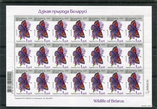 Беларусь 2025. Стандарт. Фауна. Бабочка. Номинал 1 руб. Заказ 365ц-2025. Лист