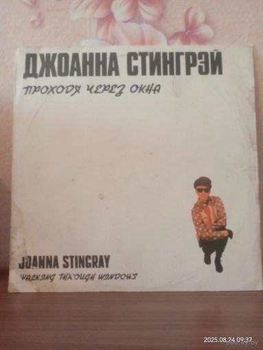Джоанна Стингрэй Проходя через окна