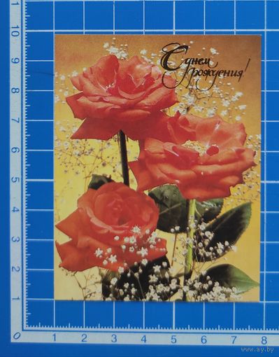 Открытка-мини 1990 год. С днём рождения! Фото Э. Стейнерта.