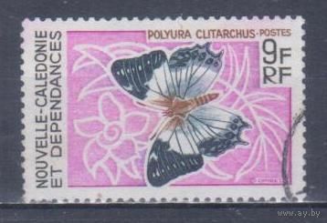 [2337] Новая Каледония 1967. Фауна.Бабочка. Гашеная марка.