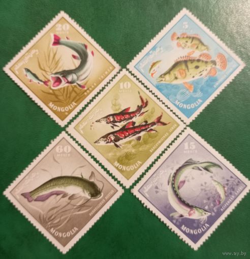 Монголия 1965. Фауна. Рыбы