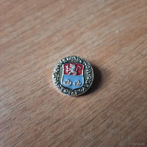 Значок "Золотое кольцо.Юрьев Польской"