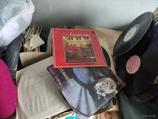 Виниловые пластинки