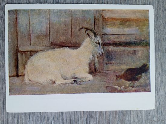 1958. Мешков. Козочка