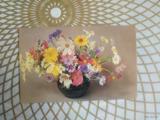 Открытка СССР 1983 год.   Чистая. Е.Савалов . Состояние на скане.