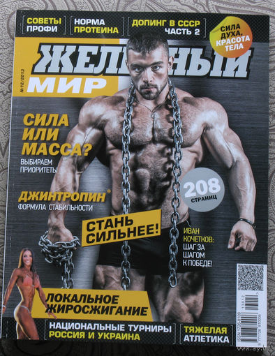 Железный мир. Журнал о силе, мышцах и красоте тела. номер 12 2013