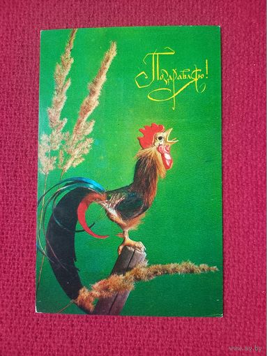 Поздравляю! Куприянов 1979 г. Чистая.