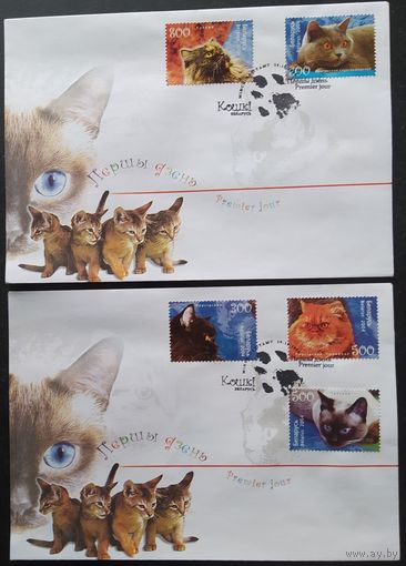Беларусь 2004  КПД кошки .