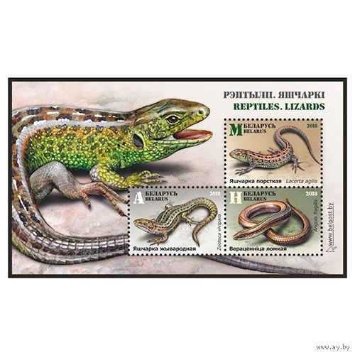 2018 БЕЛАРУСЬ Малый лист "Рептилии. Ящерицы" MNH
