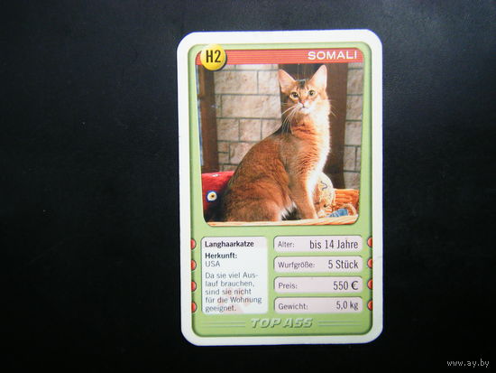 Карточка КОШКИ 30