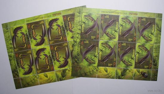 Тритоны. 2 листа. 2012г.