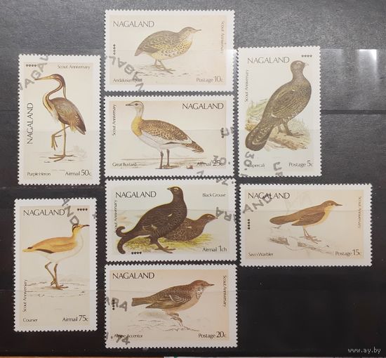 Нагалэнд. Фауна. Птицы (387)
