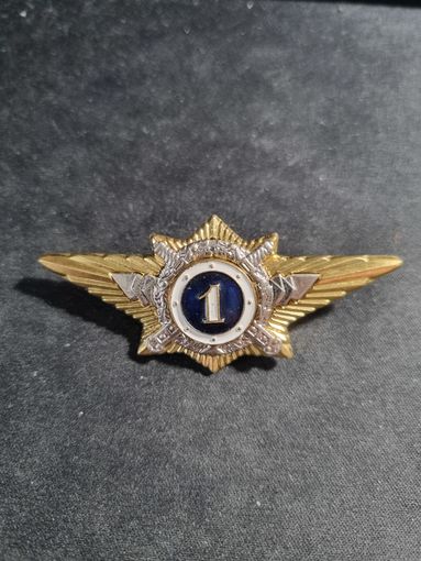 Знак классного специалиста МВД России (специалист 1-го класса) - начальствующий состав