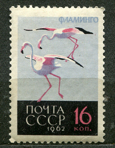Фауна. Фламинго. 1962. Чистая