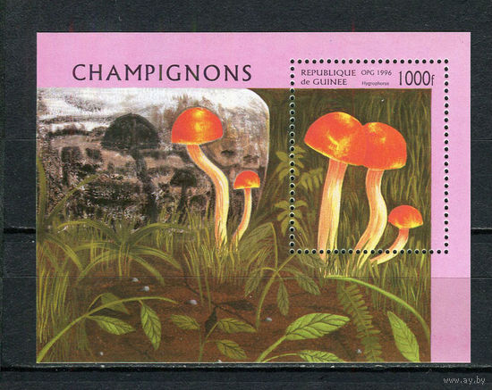 Гвинея - 1996 - Грибы - (незначительное пятно на клее) - [Mi. bl. 505] - 1 блок. MNH.  (Лот 90FL)-T25P21