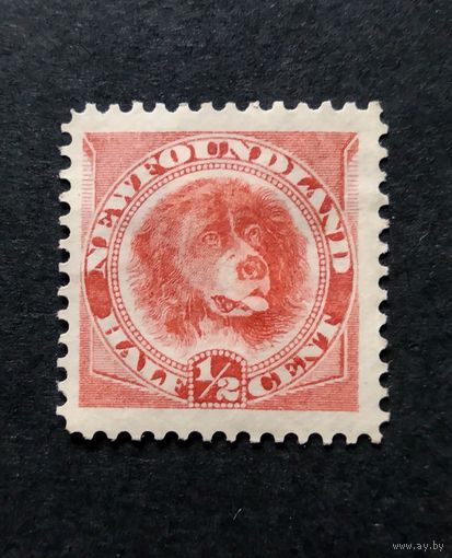 Великобритания\127в\ Ньюфаундленд 1887\1896-? г. собака