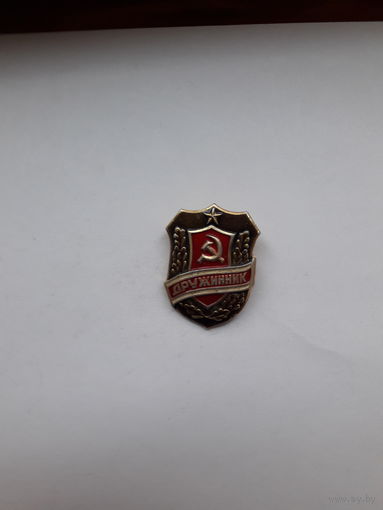 Дружинник