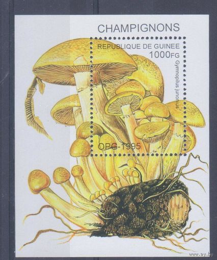 [772] Гвинея 1995. Грибы. БЛОК MNH