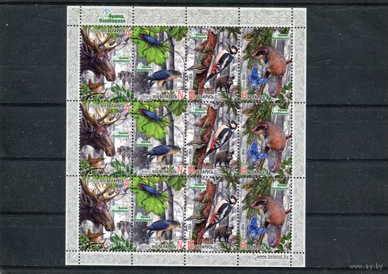 Беларусь 2014. Фауна. Налибокская пуща. Малый лист
