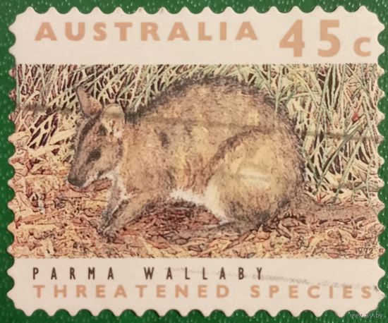 Австралия 1992. Фауна. Parma Wallaby