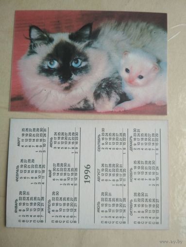 Карманный календарик. Кошки . 1996 год