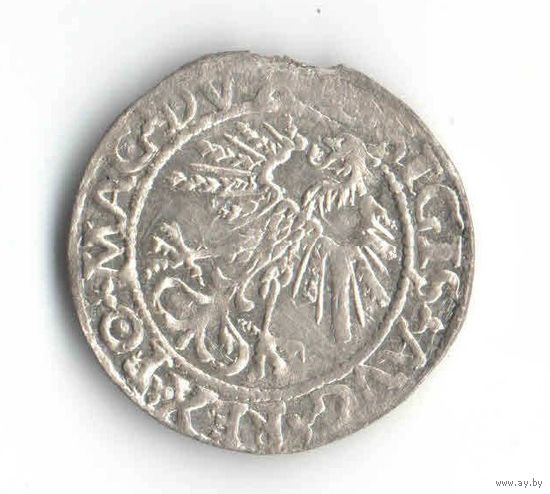 Полугрош 1562 Сигизмунд 2 Август