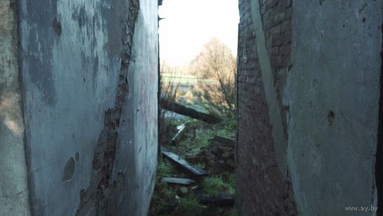 Исключительные права на музыкальную композицию: "BuslikDrev - Стена"