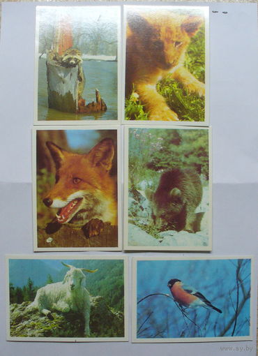 Календарики "Фауна" 1990г