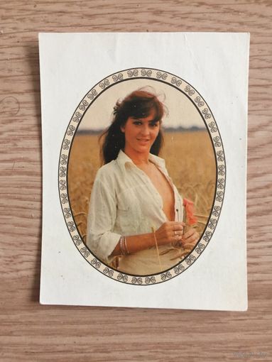 Переводная картинка (ГДР)