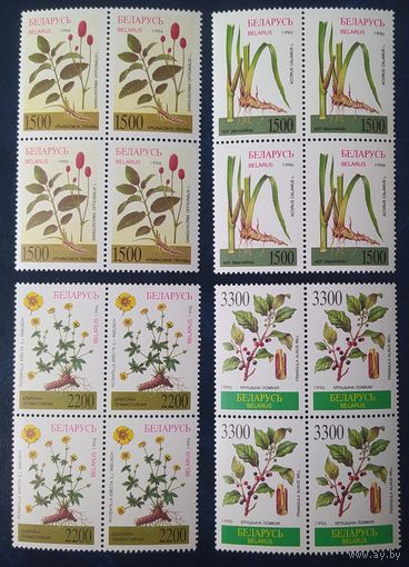 Беларусь 1996 кв. блоки, лекарственные растения