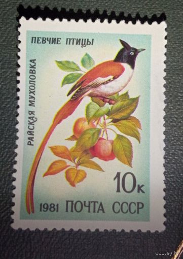 Марка СССР Птицы 1981