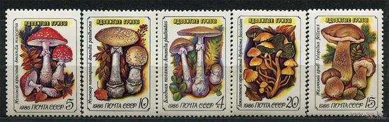 Ядовитые грибы. 1986. Полная серия 5 марок. Чистые