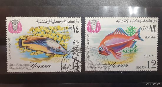 Йемен. 1967 год. Фауна. Рыбы (82)