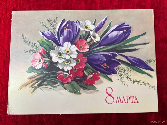 1983 год Г. Куртенко 8 марта. Подписана!