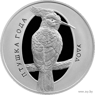 1 рубль 2013 Республика Беларусь Удод Птицы года в капсуле пруф-лайк