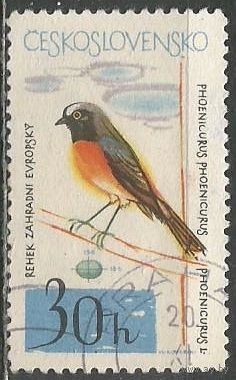 Чехословакия. Обыкновенная горихвостка. 1964г. Mi#1495.