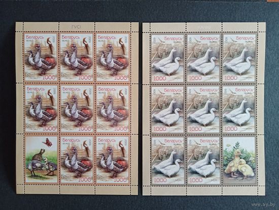Марки Беларуси 2009, Домашние птицы, фауна, чистые листы КМ 792/793 каталог 7,2 евро