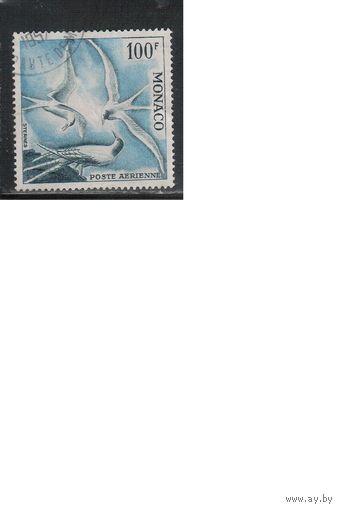 Монако-1955(Мих.502В)  гаш.   , Фауна, Птицы, перф. 13