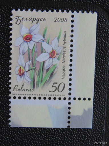 Беларусь 2008 г. Стандарт.