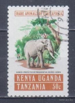 [2298] Кения,Уганда и Танзания 1975. Фауна.Африканский слон. Гашеная марка.