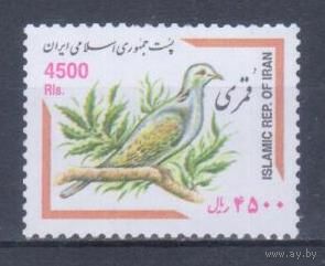 [1534] Иран 2002. Фауна.Птицы.Голубь. Высокий номинал.Концовка серии. БЕЗ КЛЕЯ. Кат.15 е.