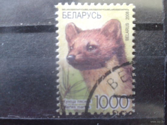 2008 Стандарт, куница