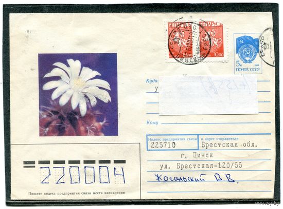 Беларусь. ХМК. Конверт п.п. Кактус Михановича. Штемпель Пинск 1993
