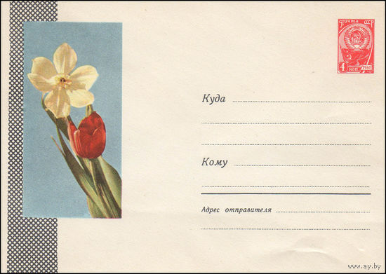 Художественный маркированный конверт СССР N 3244 (29.06.1964) Фото цветков нарцисса и тюльпана